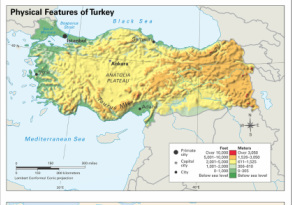 turkey physical features